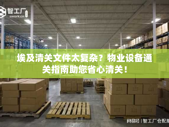 埃及清关文件太复杂?物业设备通关指南助您省心清关! 埃及清关文件太复杂?物业设备通关指南助您省心清关!