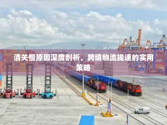 清关慢原因深度剖析,跨境物流提速的实用策略 清关慢原因深度剖析,跨境物流提速的实用策略