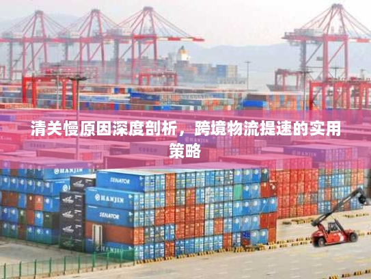清关慢原因深度剖析,跨境物流提速的实用策略 清关慢原因深度剖析,跨境物流提速的实用策略