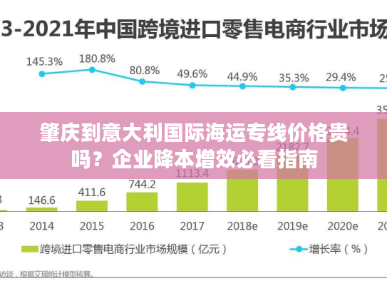肇庆到意大利国际海运专线价格贵吗？企业降本增效必看指南
