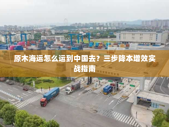 原木海运怎么运到中国去?三步降本增效实战指南 原木海运怎么运到中国去?三步降本增效实战指南