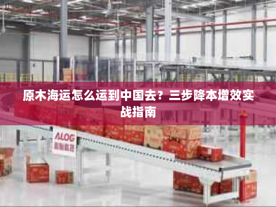 原木海运怎么运到中国去?三步降本增效实战指南 原木海运怎么运到中国去?三步降本增效实战指南