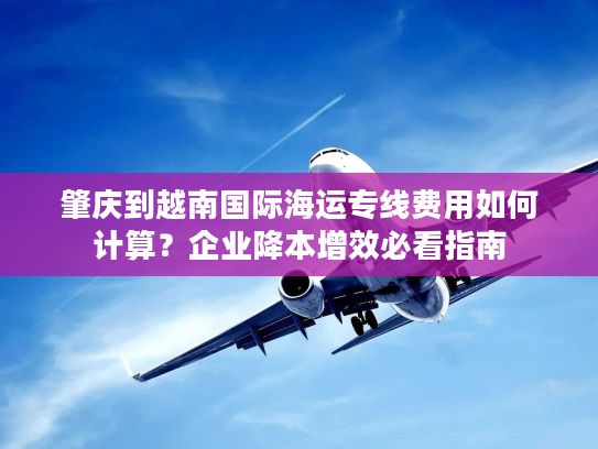 肇庆到越南国际海运专线费用如何计算？企业降本增效必看指南
