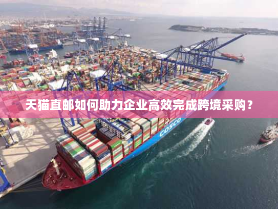 天猫直邮如何助力企业高效完成跨境采购? 天猫直邮如何助力企业高效完成跨境采购?