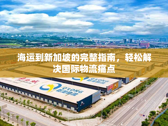 海运到新加坡的完整指南，轻松解决国际物流痛点