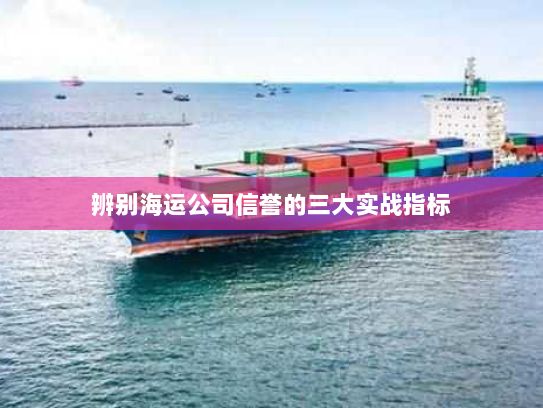 辨别海运公司信誉的三大实战指标 辨别海运公司信誉的三大实战指标