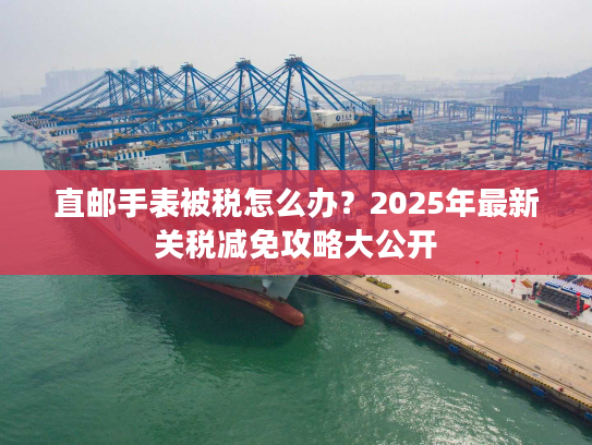 直邮手表被税怎么办?2025年最新关税减免攻略大公开 直邮手表被税怎么办?2025年最新关税减免攻略大公开
