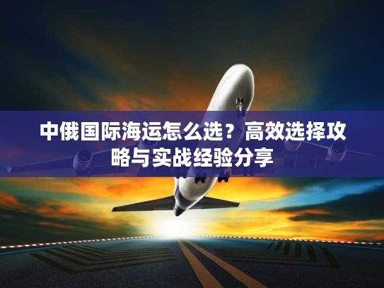 中俄国际海运怎么选？高效选择攻略与实战经验分享