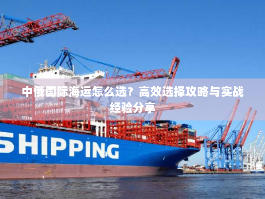 中俄国际海运怎么选?高效选择攻略与实战经验分享 中俄国际海运怎么选?高效选择攻略与实战经验分享