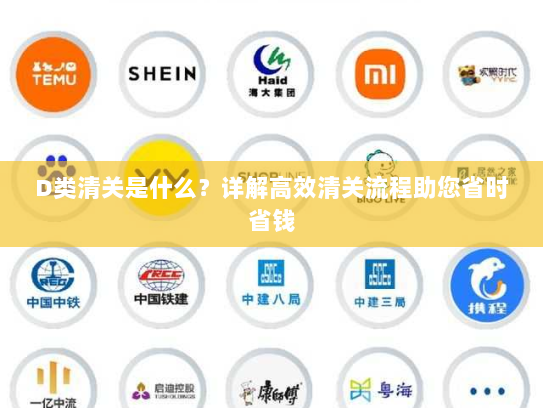 D类清关是什么？详解高效清关流程助您省时省钱