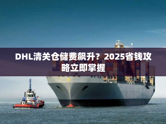 DHL清关仓储费飙升?2025省钱攻略立即掌握 DHL清关仓储费飙升?2025省钱攻略立即掌握