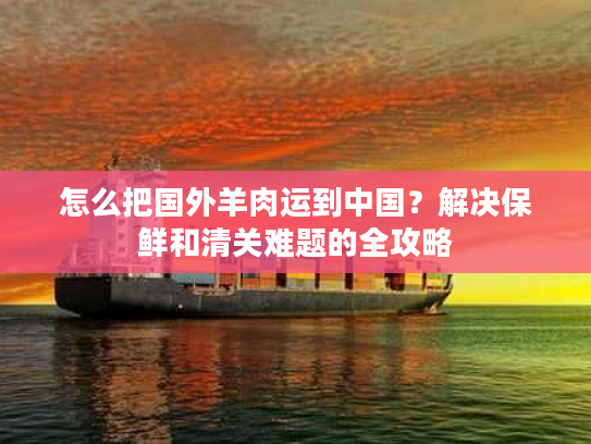 怎么把国外羊肉运到中国？解决保鲜和清关难题的全攻略