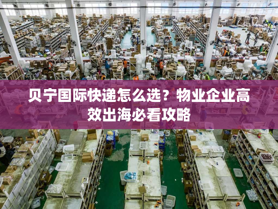贝宁国际快递怎么选？物业企业高效出海必看攻略