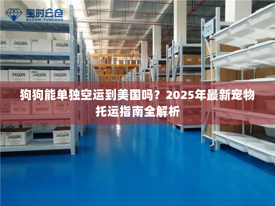 狗狗能单独空运到美国吗?2025年最新宠物托运指南全解析 狗狗能单独空运到美国吗?2025年最新宠物托运指南全解析