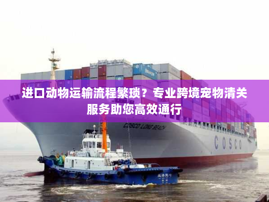 进口动物运输流程繁琐?专业跨境宠物清关服务助您高效通行 进口动物运输流程繁琐?专业跨境宠物清关服务助您高效通行