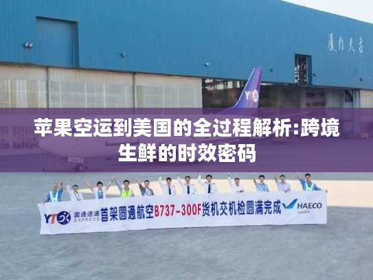 苹果空运到美国的全过程解析:跨境生鲜的时效密码