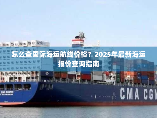 怎么查国际海运航线价格？2025年最新海运报价查询指南