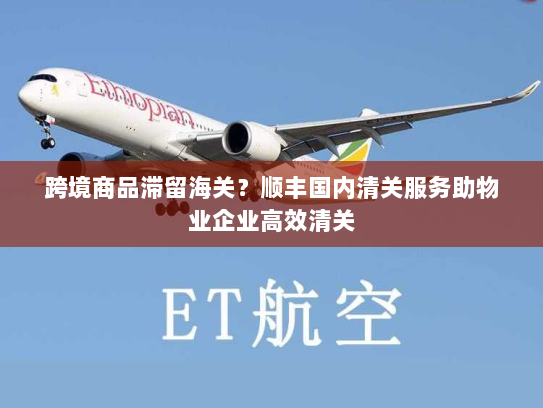 跨境商品滞留海关?顺丰国内清关服务助物业企业高效清关 跨境商品滞留海关?顺丰国内清关服务助物业企业高效清关