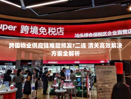 跨国物业供应链难题频发?二连 清关高效解决方案全解析