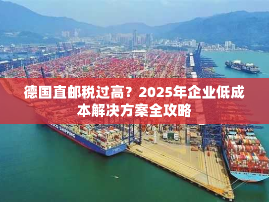 德国直邮税过高？2025年企业低成本解决方案全攻略