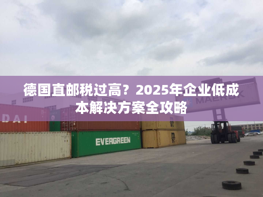 德国直邮税过高？2025年企业低成本解决方案全攻略