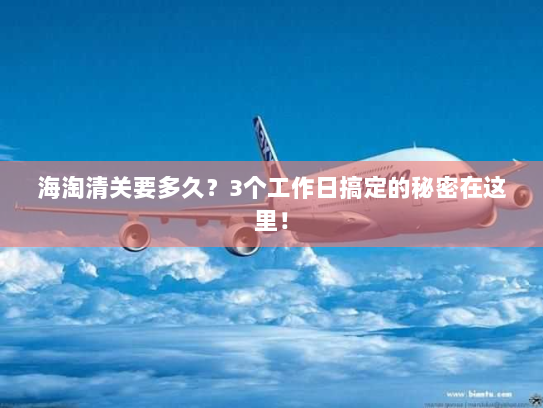 海淘清关要多久?3个工作日搞定的秘密在这里! 海淘清关要多久?3个工作日搞定的秘密在这里!