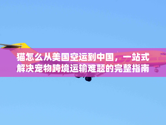 猫怎么从美国空运到中国，一站式解决宠物跨境运输难题的完整指南