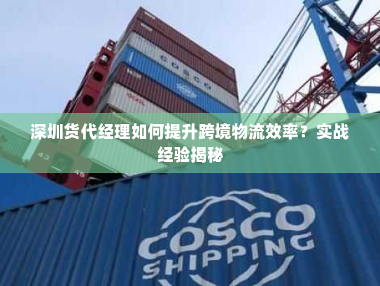 深圳货代经理如何提升跨境物流效率?实战经验揭秘 深圳货代经理如何提升跨境物流效率?实战经验揭秘