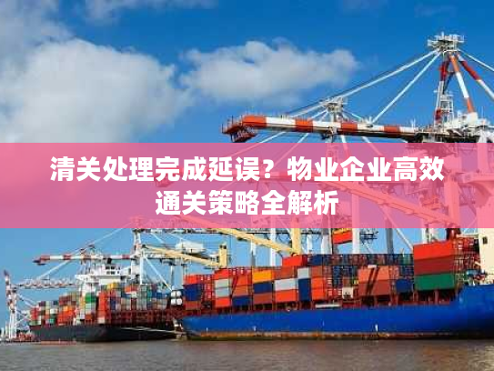 清关处理完成延误?物业企业高效通关策略全解析 清关处理完成延误?物业企业高效通关策略全解析