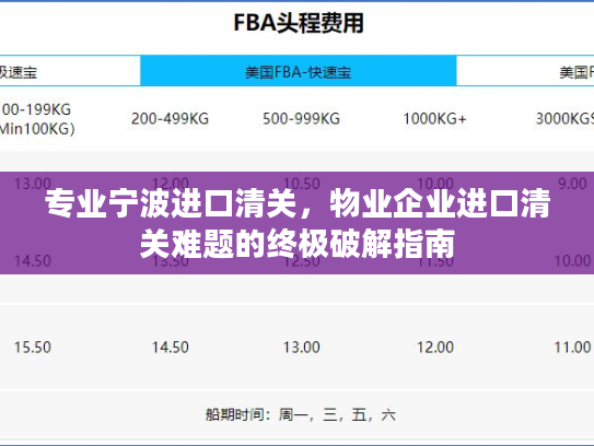 专业宁波进口清关，物业企业进口清关难题的终极破解指南