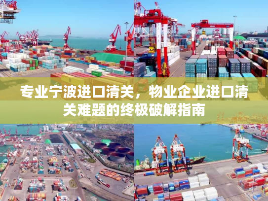 专业宁波进口清关，物业企业进口清关难题的终极破解指南