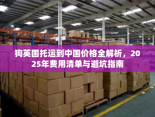 狗英国托运到中国价格全解析，2025年费用清单与避坑指南