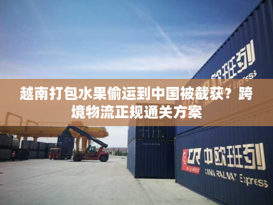 越南打包水果偷运到中国被截获？跨境物流正规通关方案