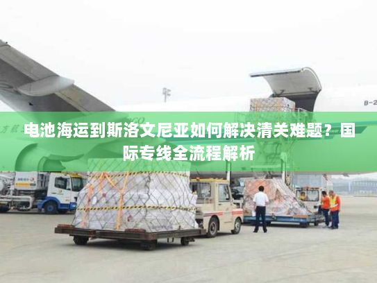 电池海运到斯洛文尼亚如何解决清关难题？国际专线全流程解析