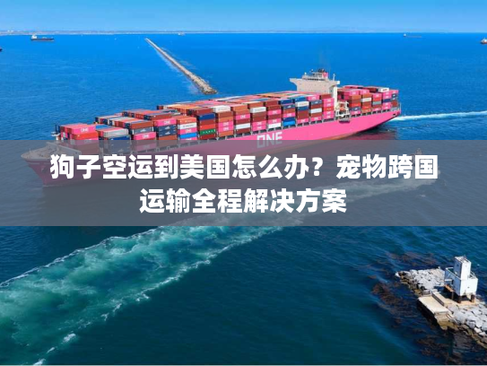 狗子空运到美国怎么办？宠物跨国运输全程解决方案