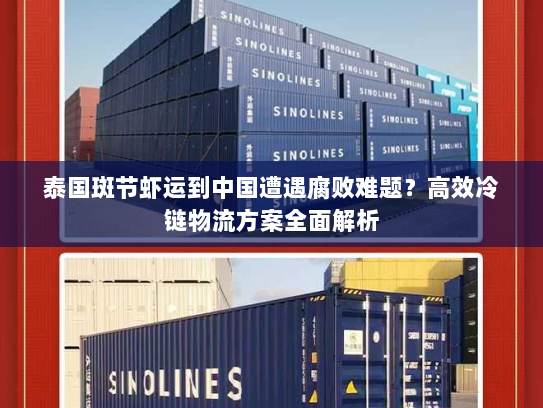 泰国斑节虾运到中国遭遇腐败难题?高效冷链物流方案全面解析 泰国斑节虾运到中国遭遇腐败难题?高效冷链物流方案全面解析