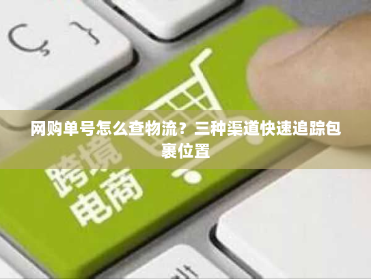 网购单号怎么查物流?三种渠道快速追踪包裹位置 网购单号怎么查物流?三种渠道快速追踪包裹位置