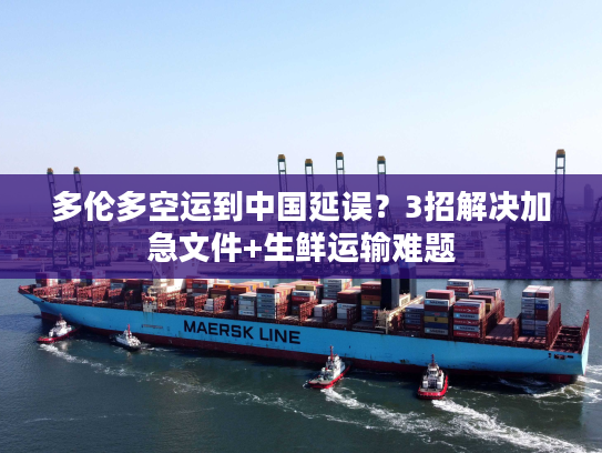 多伦多空运到中国延误？3招解决加急文件+生鲜运输难题