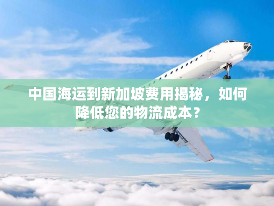 中国海运到新加坡费用揭秘，如何降低您的物流成本？
