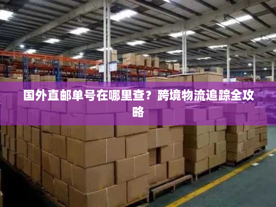 国外直邮单号在哪里查？跨境物流追踪全攻略