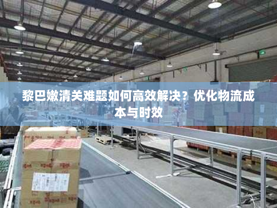 黎巴嫩清关难题如何高效解决？优化物流成本与时效