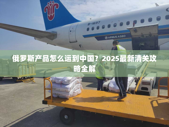 俄罗斯产品怎么运到中国?2025最新清关攻略全解 俄罗斯产品怎么运到中国?2025最新清关攻略全解