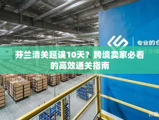 芬兰清关延误10天?跨境卖家必看的高效通关指南 芬兰清关延误10天?跨境卖家必看的高效通关指南