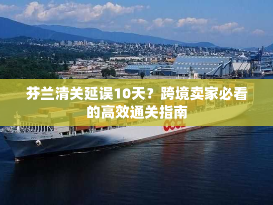 芬兰清关延误10天?跨境卖家必看的高效通关指南 芬兰清关延误10天?跨境卖家必看的高效通关指南