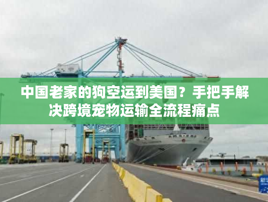 中国老家的狗空运到美国?手把手解决跨境宠物运输全流程痛点 中国老家的狗空运到美国?手把手解决跨境宠物运输全流程痛点