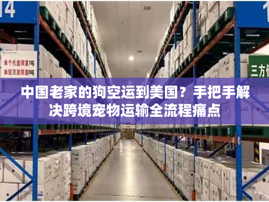中国老家的狗空运到美国?手把手解决跨境宠物运输全流程痛点 中国老家的狗空运到美国?手把手解决跨境宠物运输全流程痛点
