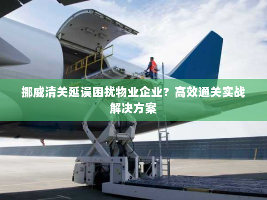 挪威清关延误困扰物业企业?高效通关实战解决方案 挪威清关延误困扰物业企业?高效通关实战解决方案