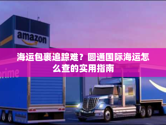 海运包裹追踪难？圆通国际海运怎么查的实用指南