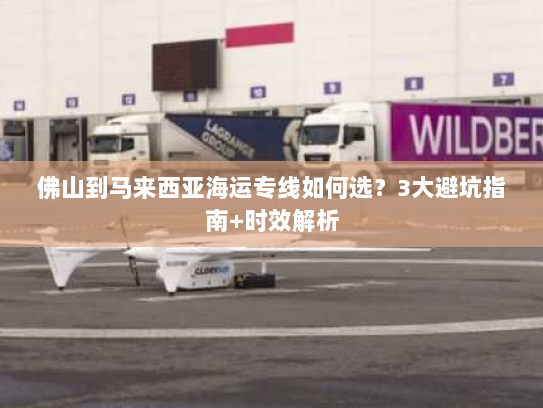 佛山到马来西亚海运专线如何选？3大避坑指南+时效解析