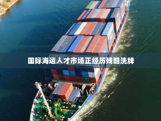 国际海运人才市场正经历残酷洗牌 国际海运人才市场正经历残酷洗牌